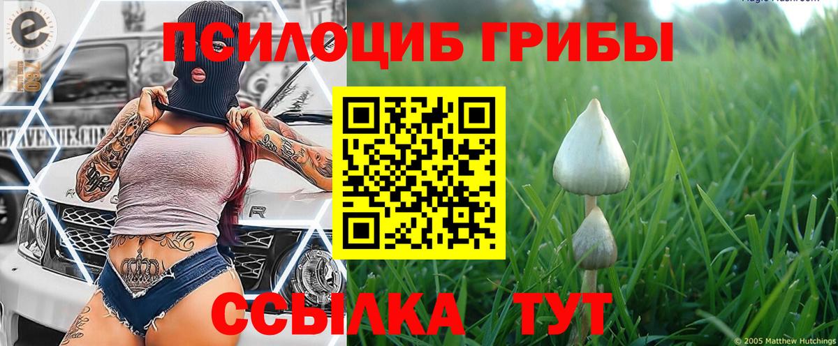 Галлюциногенные грибы мухоморы Калач-на-Дону