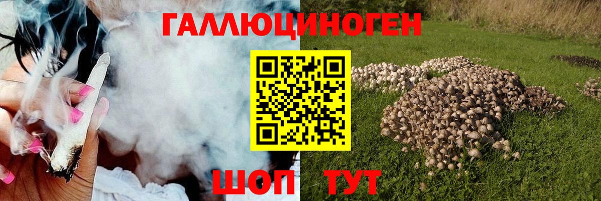 Калач-на-Дону  Псилоцибиновые грибы ЛСД  Вход с VPN  Псилоцибиновые грибы MAGIC MUSHROOMS 